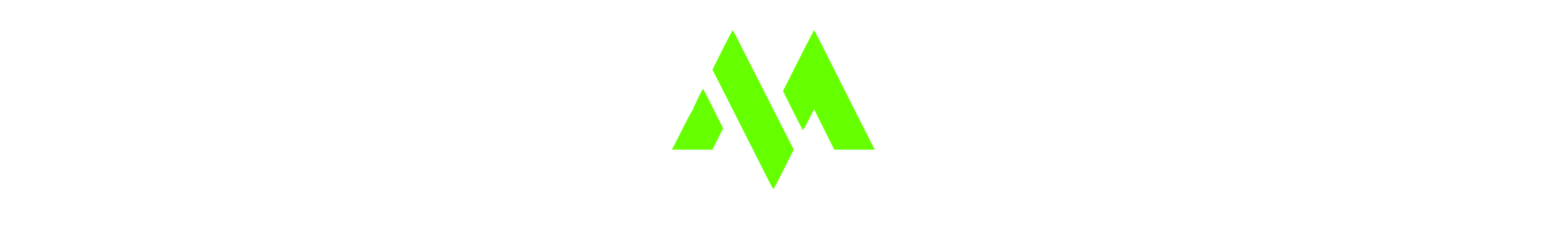 Megagon Ventures Logo